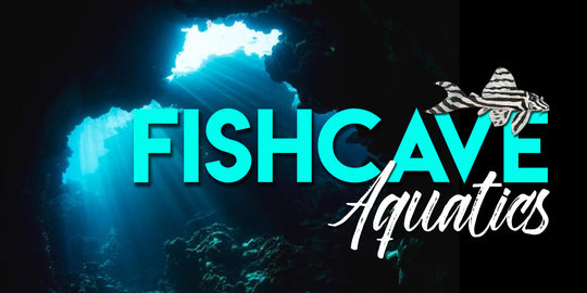 Fishcave Aquatics